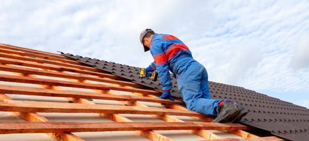 Best Gutter Installation and Repair  in Kenova, WV